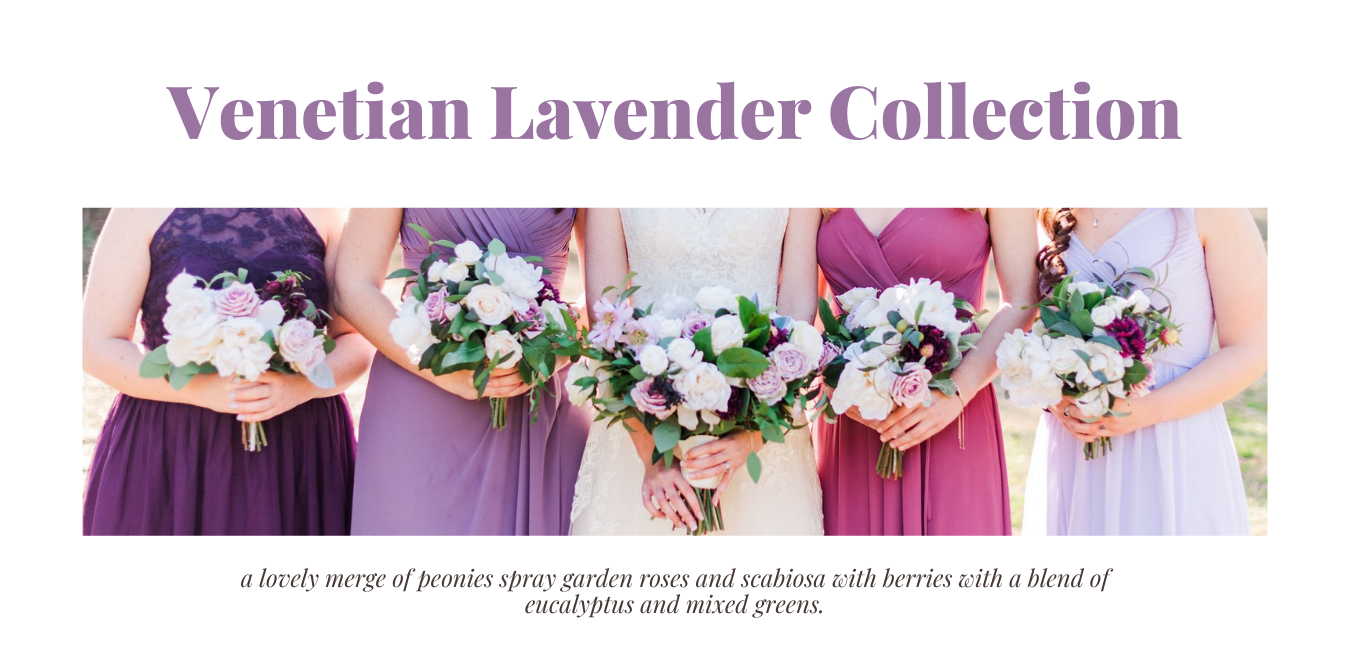 Venetian Lavender Collection