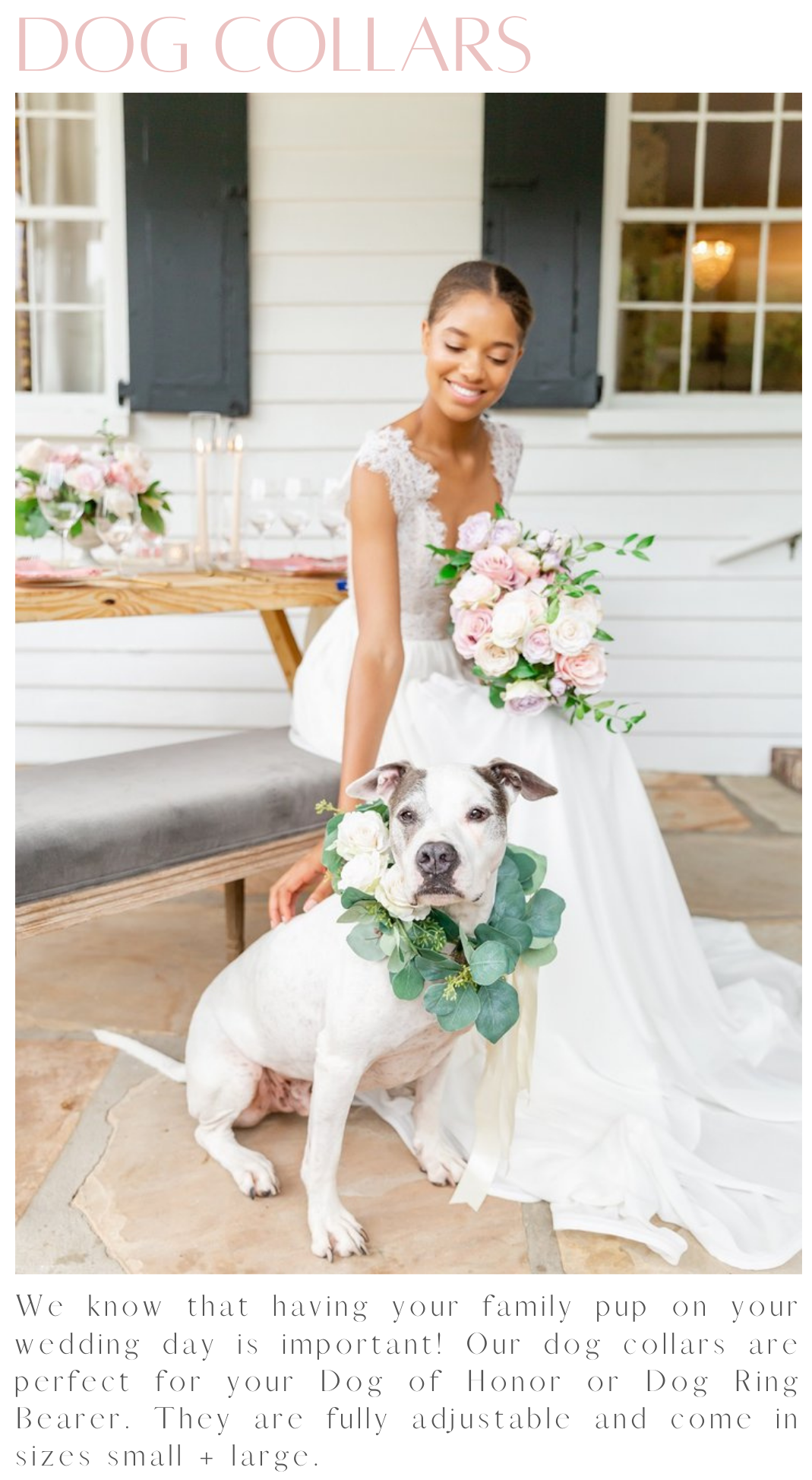 Shopping For Your Dog's Wedding Outfit? Shop Our Dog Collars!