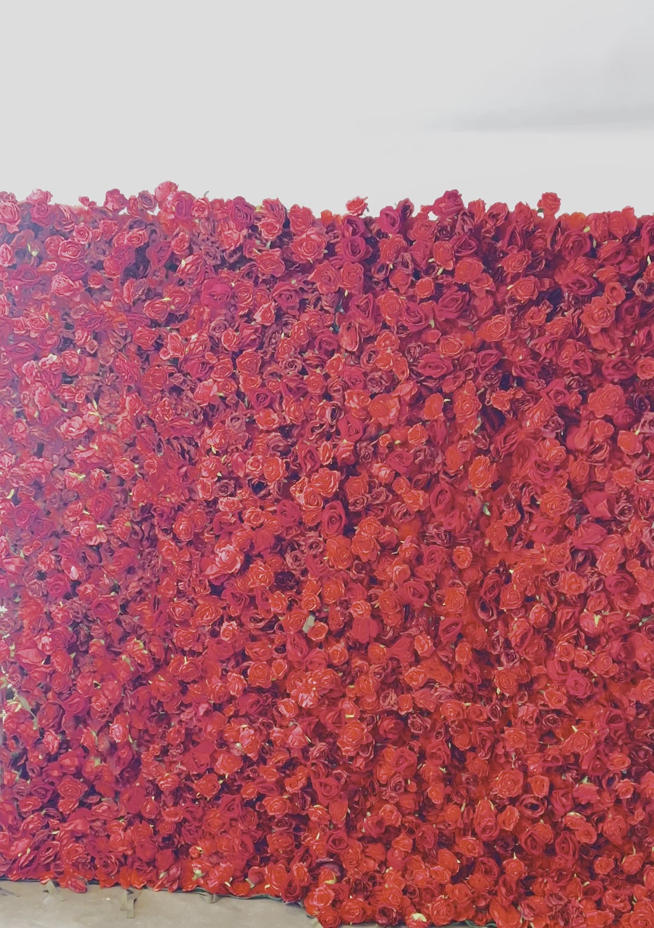 Flower wall - Rosie Red