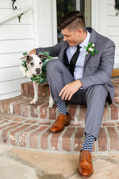 Dog Collar Collection - Seeded Eucalyptus with Blooms