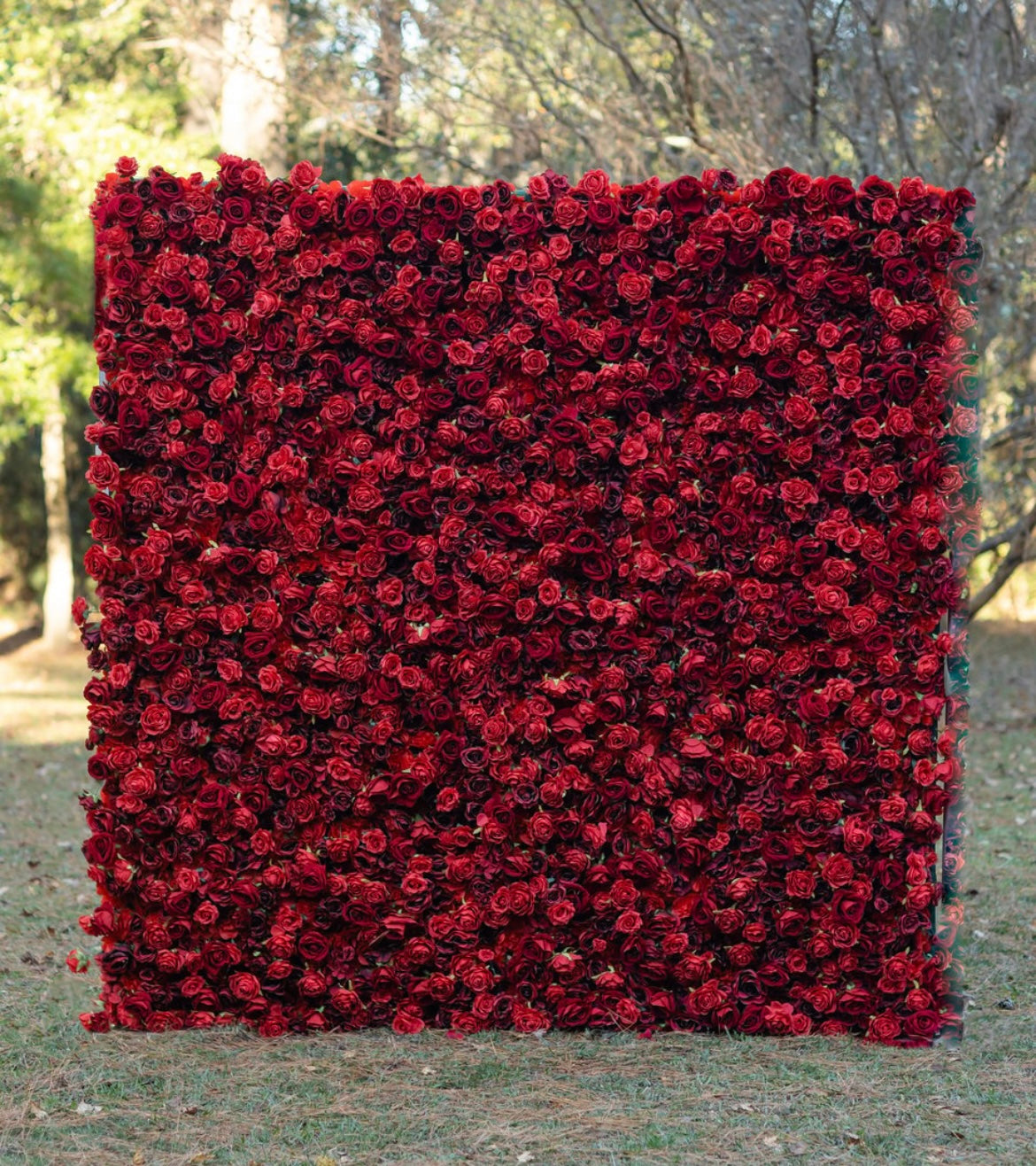 Flower wall - Rosie Red