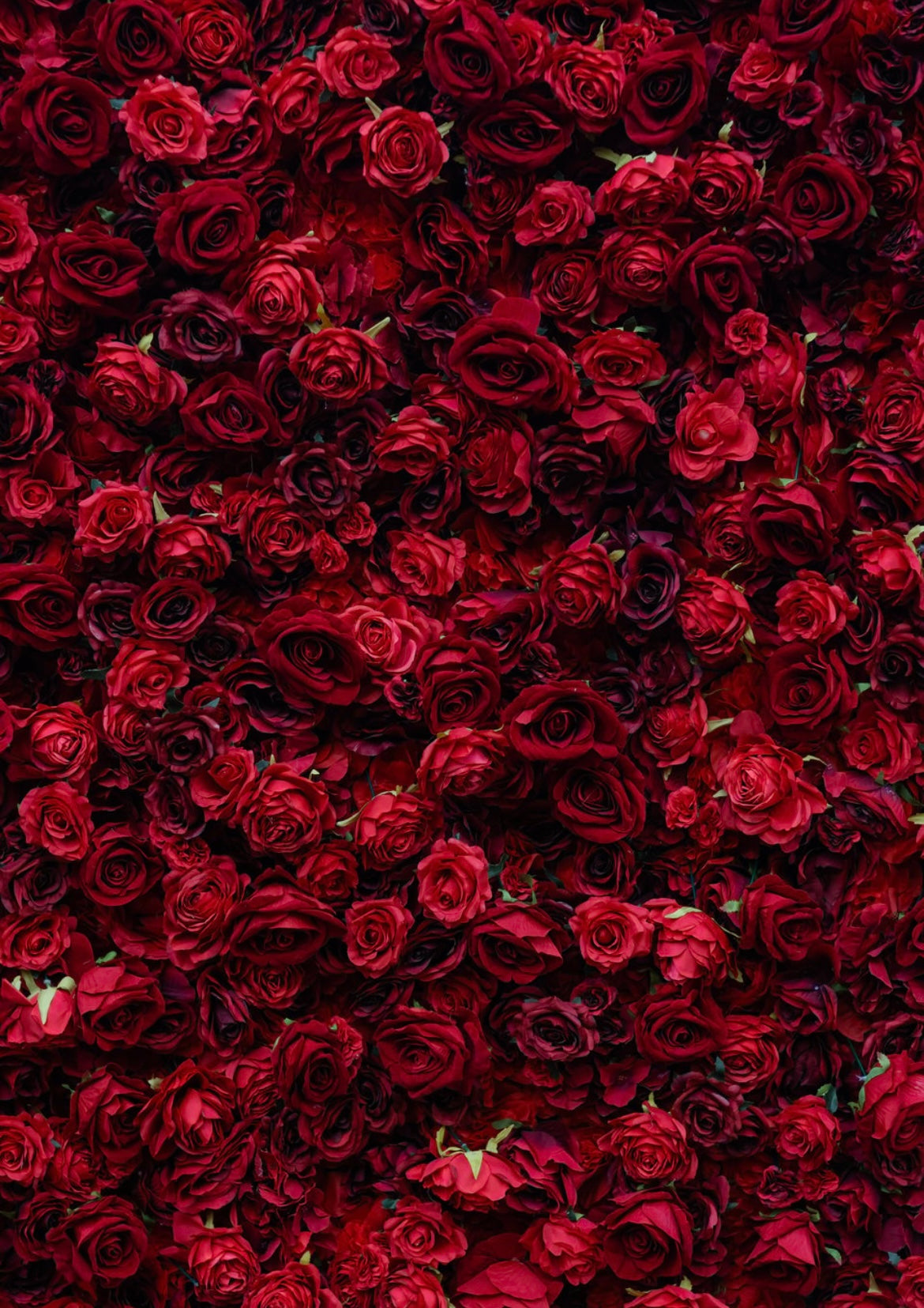Flower wall - Rosie Red