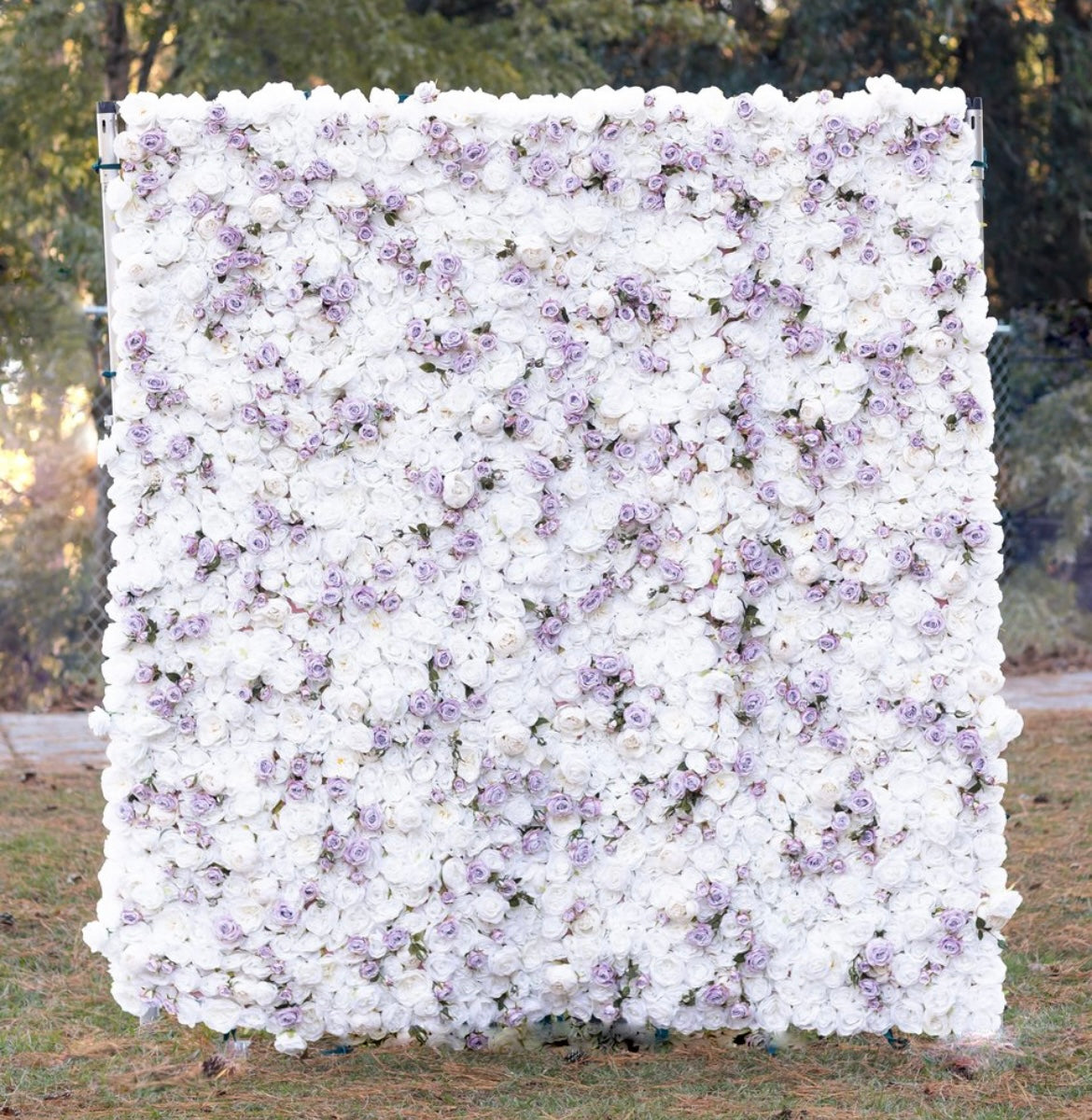 lavender plant wall Flower wall