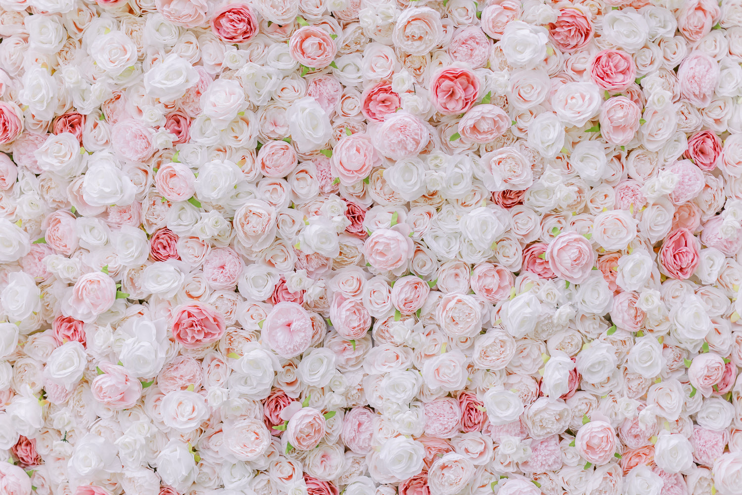Flower Wall - Venetian Pink (4x8)